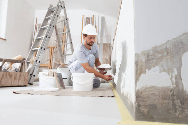Best Post-Construction Mold Inspection  in , UT