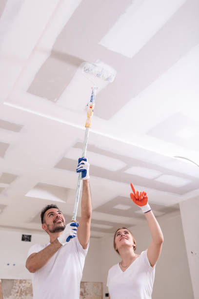 Best Mold Odor Removal Services  in , UT