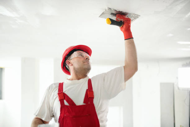  , UT Mold Removal Pros
